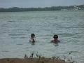25 - Mangrove 035